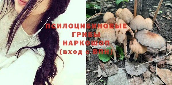 прущие грибы Пестово