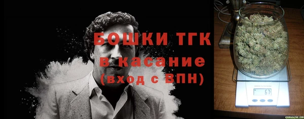 прущие грибы Пестово