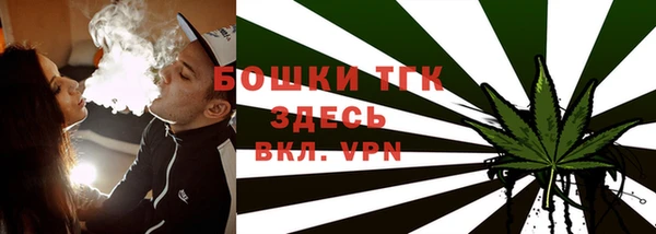 прущие грибы Пестово