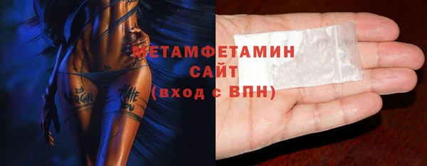 прущие грибы Пестово