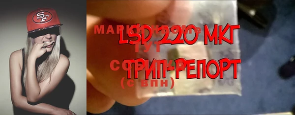 прущие грибы Пестово