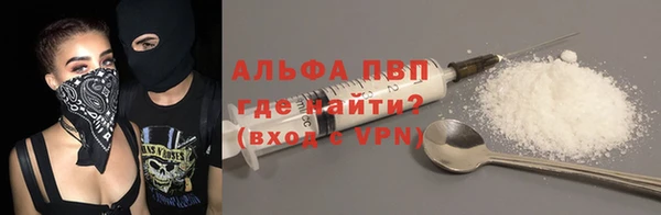 прущие грибы Пестово
