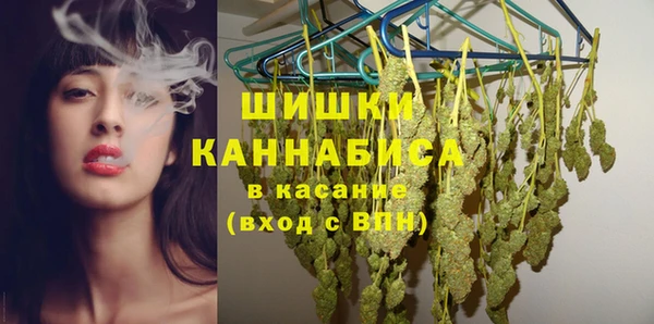 прущие грибы Пестово