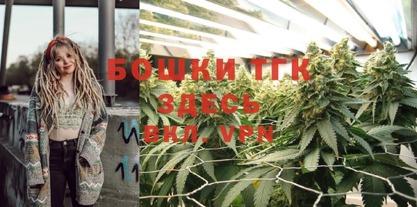 прущие грибы Пестово