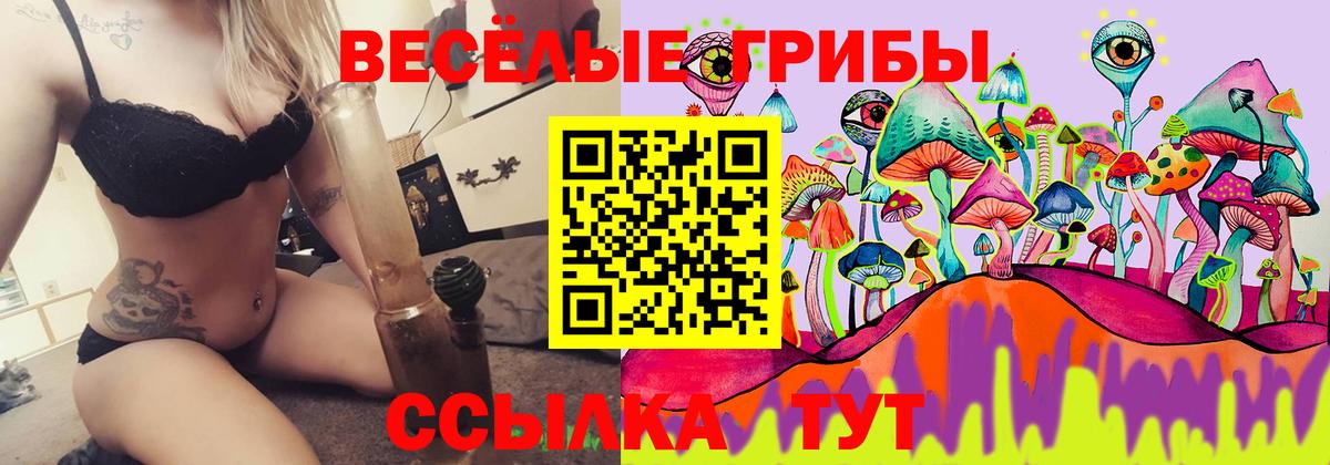 Галлюциногенные грибы прущие грибы Верхняя Салда