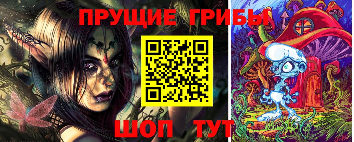 Псилоцибиновые грибы GOLDEN TEACHER  купить наркотики цена  Верхняя Салда 