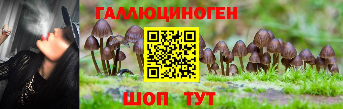 Верхняя Салда  продажа наркотиков  Галлюциногенные грибы Psilocybe  Вход с VPN  Галлюциногенные грибы прущие грибы 