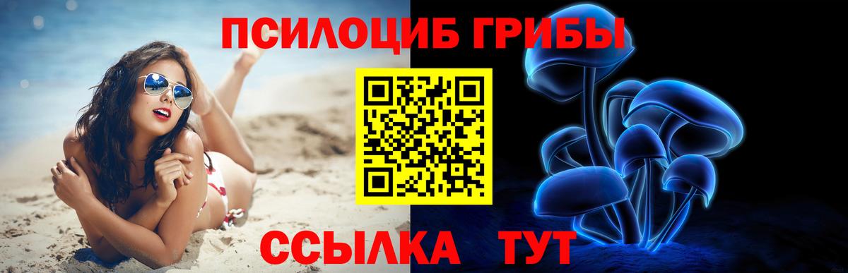 Галлюциногенные грибы GOLDEN TEACHER Верхняя Салда