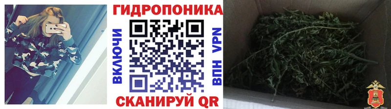 Конопля план  купить закладку  Верхняя Салда 